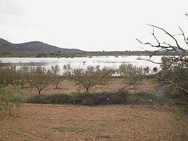 153 lles llacunes 25-10-00.JPG (14442 bytes)