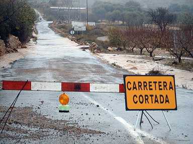 Canetcarretcortada.jpg (20408 bytes)