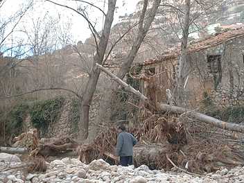 fontarbres.jpg (19598 bytes)