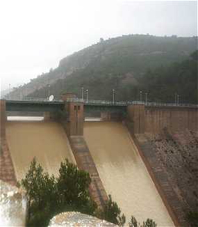 pantano.jpg (8061 bytes)